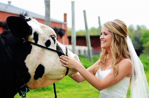 First Same Sex Proposal Officially Celebrated As Woman Proposes To Cow The Chaser
