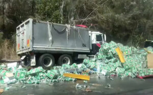 Tragedy of truck crash lightened by hilarious cargo