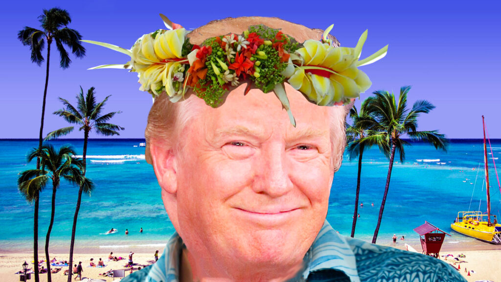 Facing national crisis, Trump heads off for quick holiday in Hawaii ...