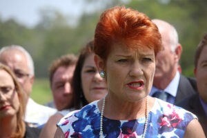 Pauline Hanson blames immigrants for her lack of coherence