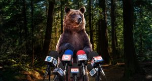 Bears speak out against unfair comparison to men