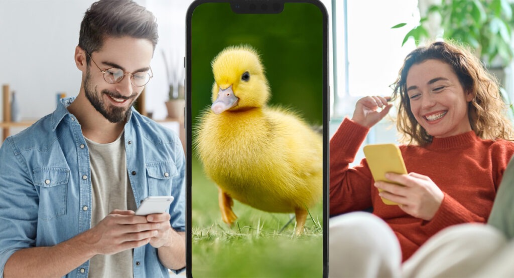 Dyslexic man on dating app sends unsolicited duck pic