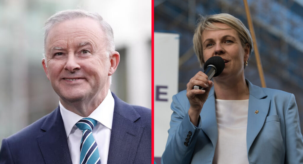 Albanese appoints Plibersek “Minister for Stepping on Banana Peels”
