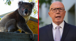 Dutton announces special drop bear task force