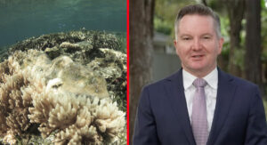 Government announces plans for future “Great Barrier Reef Memorial Gas Plant”