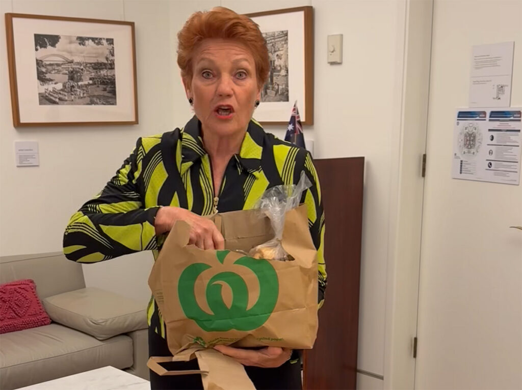 Pauline Hanson slams Woolies’ brown paper bags, demands white ones instead