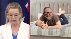 Giggling Albo kicks feet in the air while watching Liberal Party abandon net zero