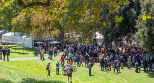 Adelaide Writers Week now just Adelaide Writers Afternoon