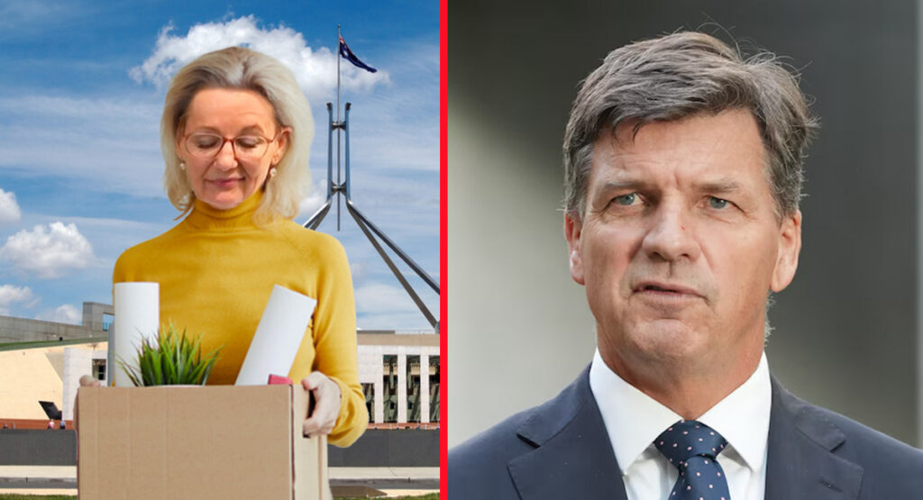 Angus Taylor says party on track for Net Zero women by 2040