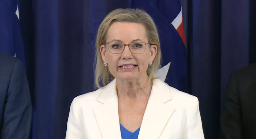 Sussan Ley urges Australians to ‘abandon the major parties’ and support the Liberals