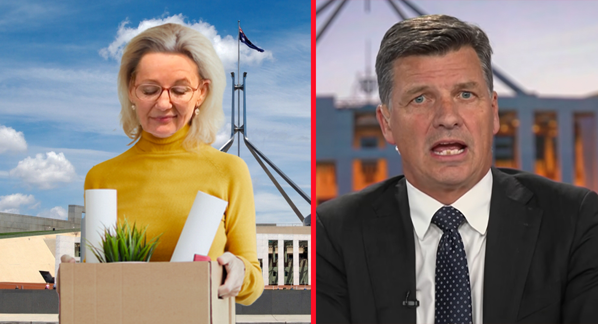 Angus Taylor says party on track for Net Zero women by 2040